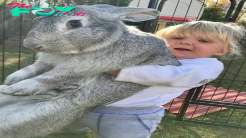 SR .Fraternizing with Giants: Encounter with the World’s Largest 2-Meter Mutant Rabbit. SR