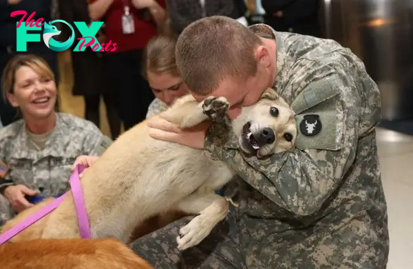 “A Tough Bond: Tender Care on the Battlefield, the Special Relationship Between a Soldier and a Wounded Dog”