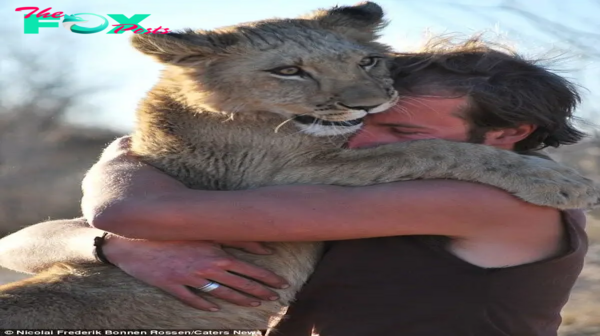 Heartwarming Bond: Lioness Embraces Rescuers, Forming Unlikely Friendship in Incredible Photos of Abandoned Big Cat