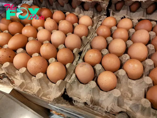 Is It Safe to Eat Eggs and Chicken During the Bird Flu Outbreak?