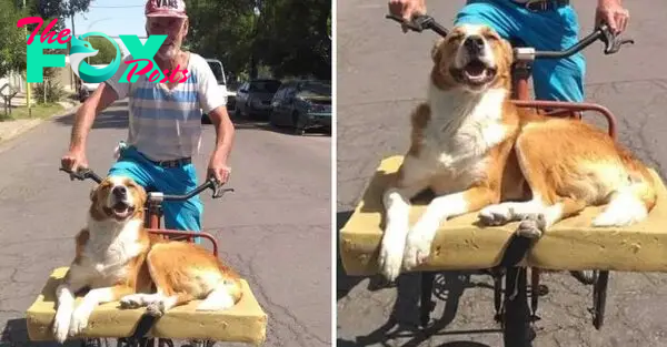 tph.”A Heartening Adventure: Senior Citizen Embraces Shelter Dog, Spreading Cheer on His Worn Bicycle and Making a Mark on Spectators.”.tph