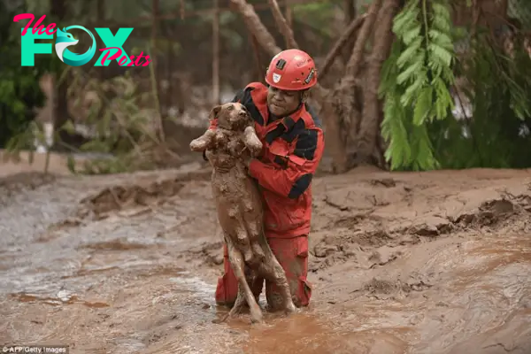 “Miracle of empathy: Compassionate rescue operation successfully saves dog stuck in quicksand, brightens faith in humanity”