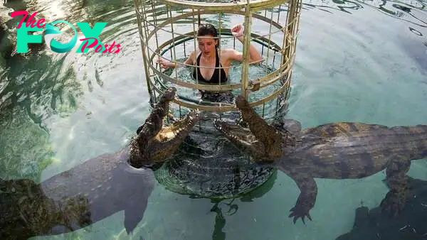 S29. Diving into the Depths: Exploring the Intriguing Underwater World of Crocodiles. S29