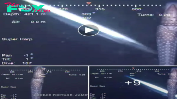 Unfathomable Depths: Enigmatic UFO/USO Sighting Caught by ROV in Sanriku Coast, Japan, 421 Meters Below