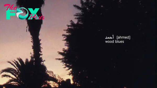 أحمد [Ahmed]: Wooden Blues Album Evaluate