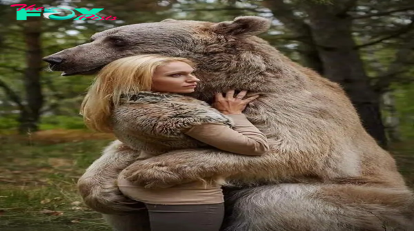 .Touching Reunion: Gray Bear Embraces Woman in North American Woods After 5-Year Separation, Demonstrating Unwavering Connection!..D