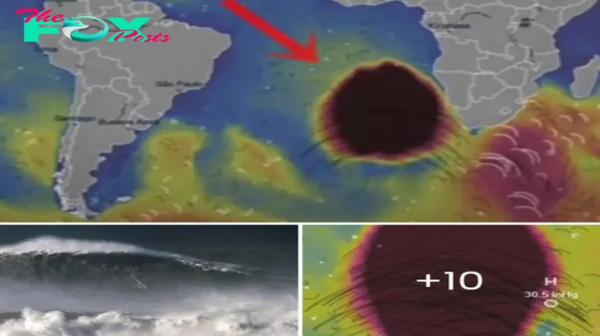 Mysterious Anomaly Near Antarctica Moving North Causes Unprecedented 80-Foot Waves, Posing Challenges to Scientists and Mariners