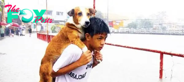 “Determination to Overcome the Storm: A Boy’s Courageous Journey to Reunite with His Beloved Dog”