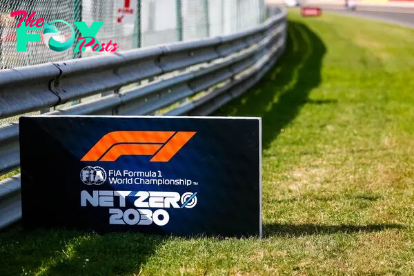 F1 publishes sustainability report amid 2030 net zero push