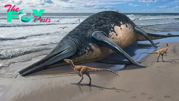 Giant, 82-foot lizard fish discovered on UK beach could be largest marine reptile ever found