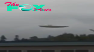 qq Close-up video of real UFO sighting in Oregon in 2010 captured on tape.