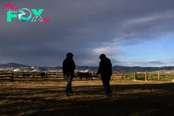 Rural Colorado’s “cowboy up” culture has led to high suicide rates. How can the state improve mental health in agriculture?