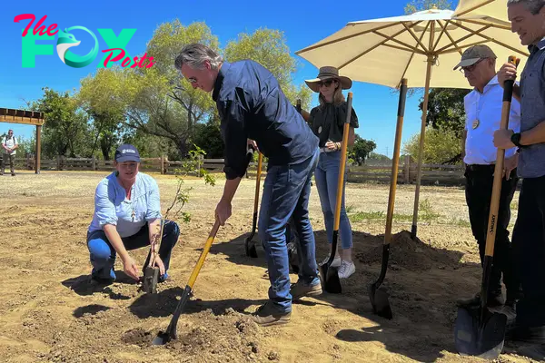 California Announces First New State Park in a Decade, Sets Climate Goals for Natural Lands