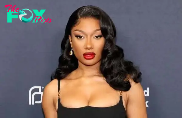 Hip hop star Megan Thee Stallion sued for harassment by cameraman