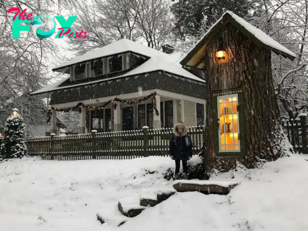 FS Woman turned 110-year-old tree into a small free library for the neighborhood and it looks like a magical house