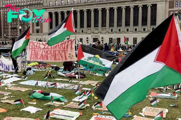 Pro-Palestinian Encampments Take Over American College Campuses