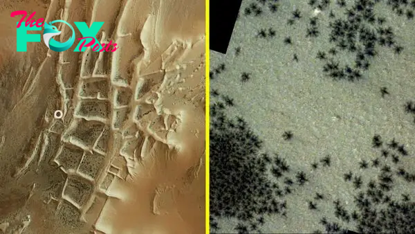 Hundreds of black 'spiders' spotted in mysterious 'Inca City' on Mars in new satellite photos