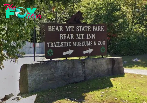 Big Beave Returns to the Bear Mountain Zoo