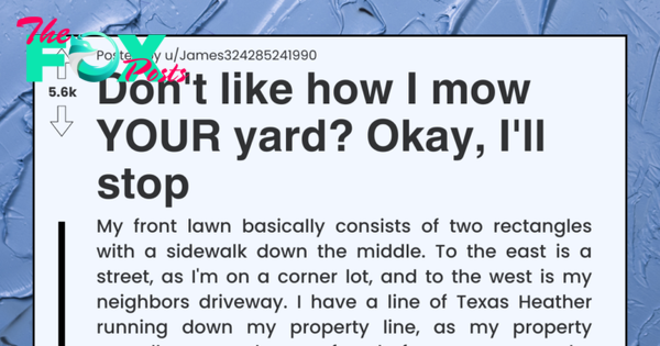 Entitled Neighbor Doesn’t Like How Neighbor Mows Lawn For Free, So He Stops And They Get Fined