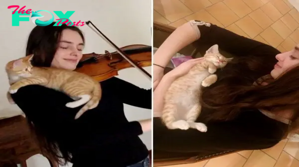 1S.A young cat discovered its path to a violinist and became her most adorable spectator.