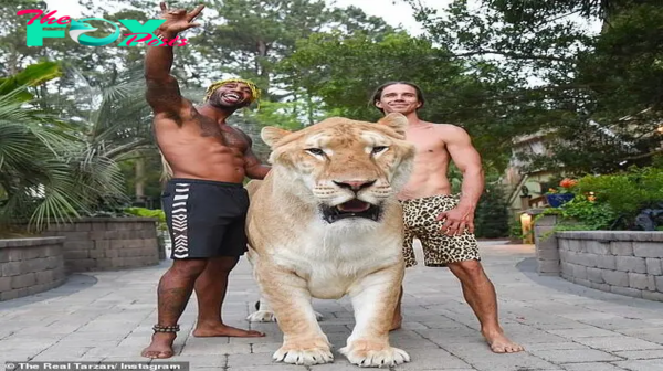 SZ “Meet a biggest liger [lion+tiger] baby : Biggest cat in the world, so amazing (Video)  ” SZ