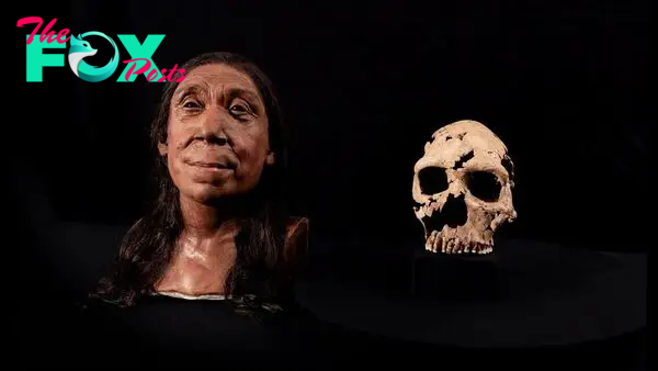 Neanderthal woman's face brought to life in stunning reconstruction