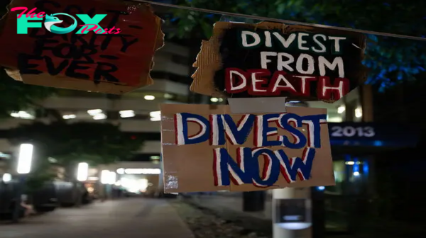 Protesters Are Calling on Universities to Divest from Israel. Here’s What That Means