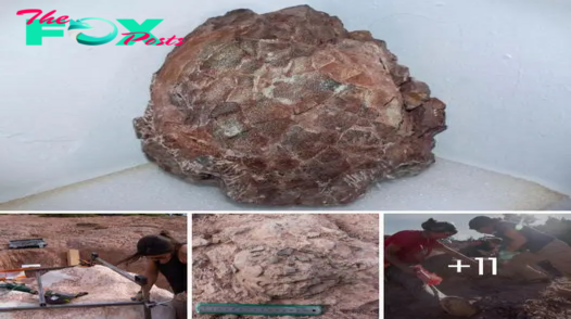 Unveiling Ancient Treasures: Paleontologists Discover 30 Intact Titanosaur Eggs, Weighing 2 Tons, in Northern Spain