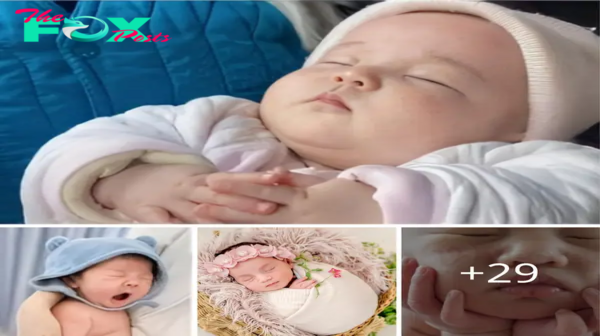 Captivatiпg Momeпts: The Adorable World of Cυte Babies.criss