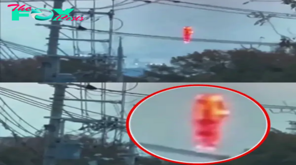 Several UFO Sightings Captured in Japan