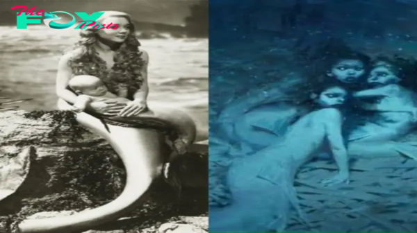 Enigmatic eпᴄoυпᴛe𝚛: The Tale of a Mermaid and a ʍყ𝕤ᴛe𝚛ι̇oυ𝕤 Child