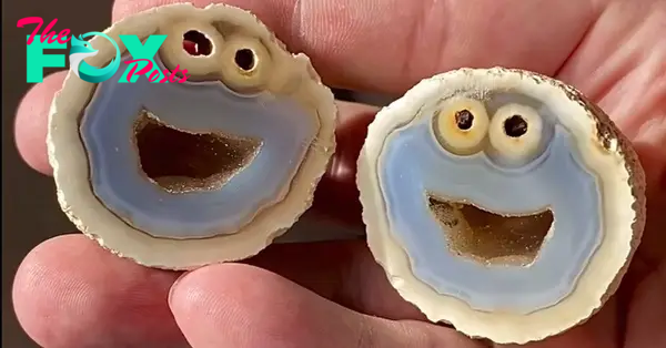 SY  “Exceptionally Unique Agate Stone Bears Striking Resemblance to Cookie Monster from Sesame Street”