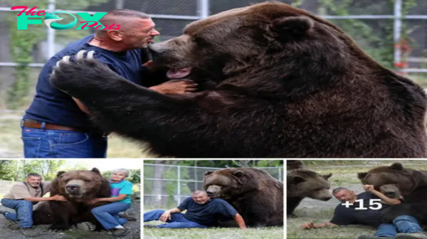 You can try sleeping with four giant 1,400lb bears who were orphaned at a young age and were adopted when they no longer had their parents.