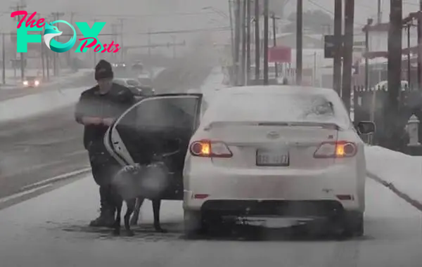 SH.The homeless dog named Cori ran over 30km on the highway in the US to chase after a car, hoping to receive assistance in the freezing weather. SH