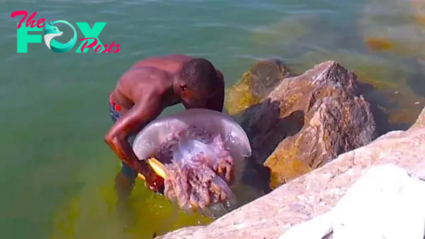 son.Unbelievable scene: Fisherman recorded the scene of a strange sea creature clinging to his back while swimming, surprising and panicking the online community. (Video) ‎