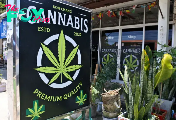 Thailand’s Cannabis Re-Criminalization Risks Street Protests and Industry Lawsuits