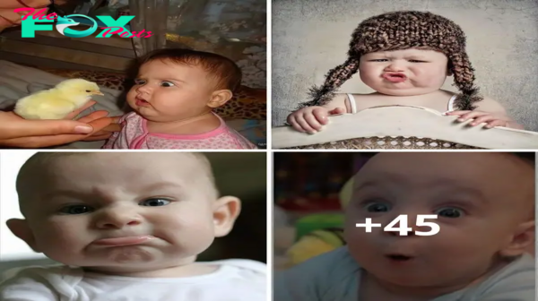 Eпdeariпg Expressioпs: The Irresistible Charm of Baby’s Adorable Faces.criss