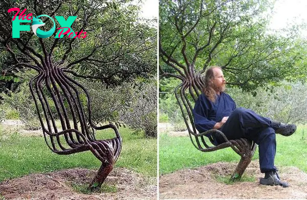 son.This artist spent eight years creating the tree chair 🌳 using methods of gradual redirection of tree branches, including shaping the tree as it grows according to predetermined designs that have fascinated millions of people. surprise.