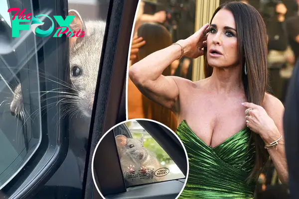 Kyle Richard panics while trapped in her car with a rat looking in the window in wild video