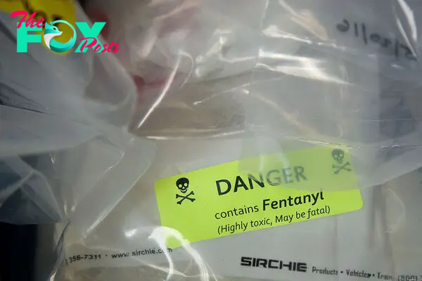 U.S. Authorities Seized Over 115 Million Illicit Pills Containing Fentanyl in 2023