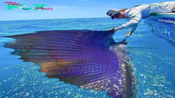 tl.Reeling in the world’s rarest fish is truly heartwarming.