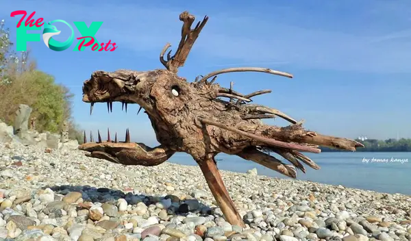 nht.”Seaside Treasures: Stunning Wood Sculptures Born from Beach Finds”