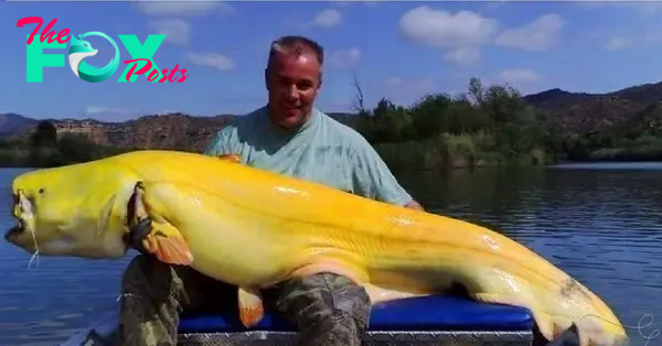 son.What a wonderful thing! The fisherman entered the record books after catching an 8-legged albino catfish weighing 200kg, surprising everyone.