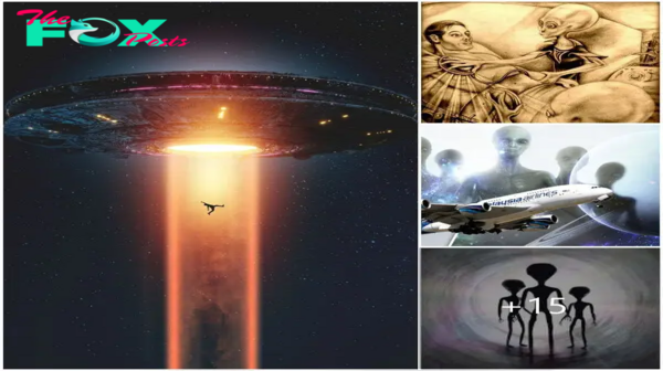 nht.The Truth About Decades Of Stories And Reports Regarding Abductions Of Humans By Aliens