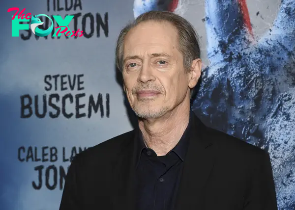 Man Charged in Random Attack on Steve Buscemi in New York