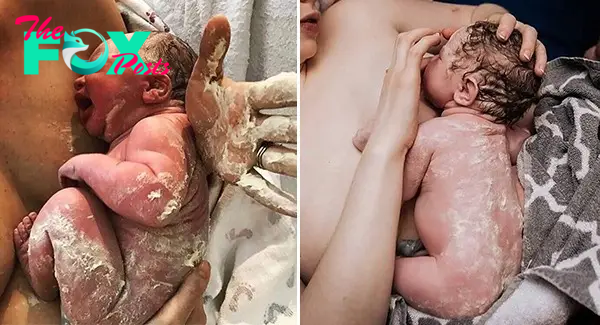 There is nothing happier than the moment a mother holds her newborn baby in her arms as soon as it is born after a long, painful day of giving birth, captured realistically by photographers.