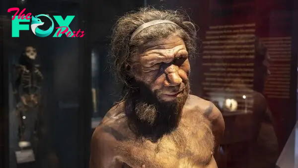 The mystery of the disappearing Neanderthal Y chromosome