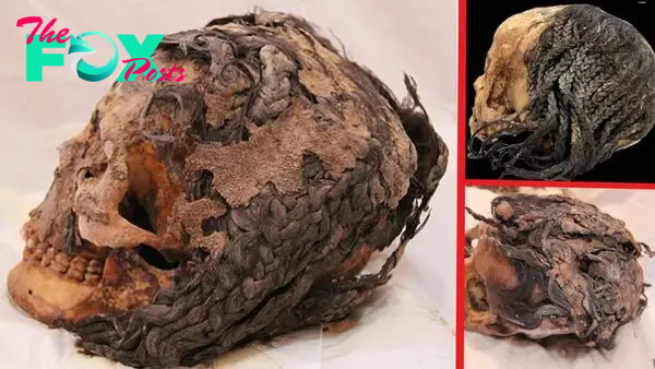 nht.A 3,300-Year-Old Hairstyle Preserved on an Ancient Egyptian Head