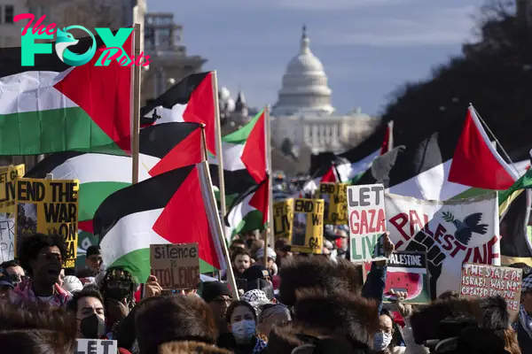 Thousands Expected to Rally on Washington’s National Mall in Pro-Palestinian Demonstration