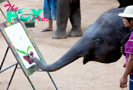 SAO. A Heartfelt Masterpiece: Suda’s Painting of Her Elephant Family Moves Hearts Globally..SAO